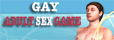 Gay Adult Sex Game